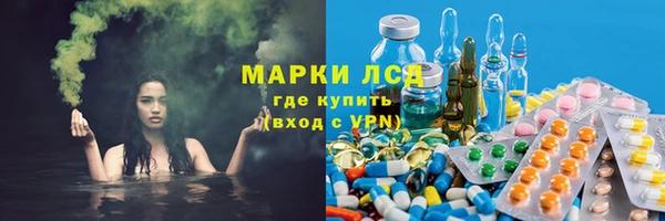 ГАЛЛЮЦИНОГЕННЫЕ ГРИБЫ Дмитров