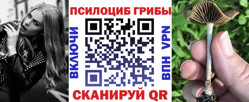 Псилоцибиновые грибы мицелий  Купить где  Гдов 